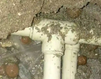 额尔古纳测漏水多少钱