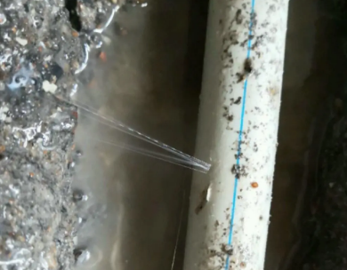 额尔古纳测漏水哪家好