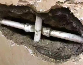 额尔古纳测漏水哪家好