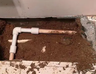 额尔古纳测漏水哪家好