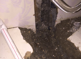 额尔古纳卫生间测漏水哪家好