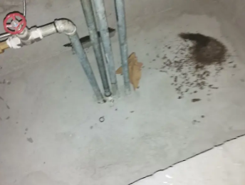 额尔古纳卫生间测漏水价格明细