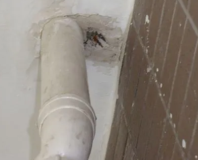 额尔古纳漏水检测哪家好